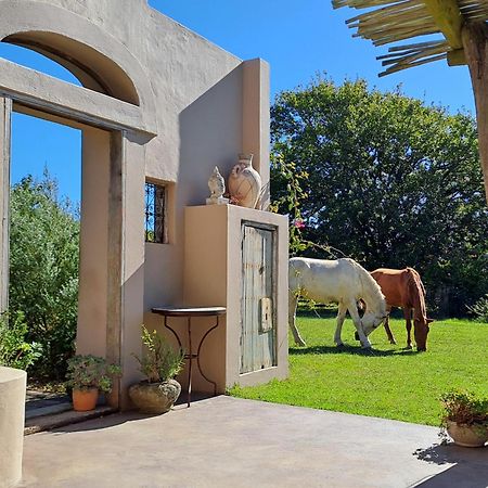 فيلا Akasha Mountain Retreat, New Location هايدلبرغ المظهر الخارجي الصورة