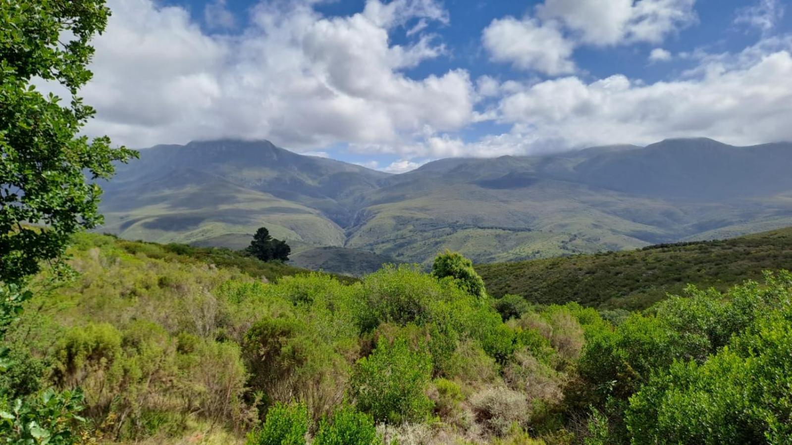 فيلا Akasha Mountain Retreat, New Location هايدلبرغ المظهر الخارجي الصورة